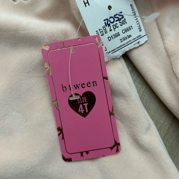 2/$18 NWT Girls Pink Ruffle Sweatshirt and Floral Leggings Set - Size 4T - Picture 7 of 14